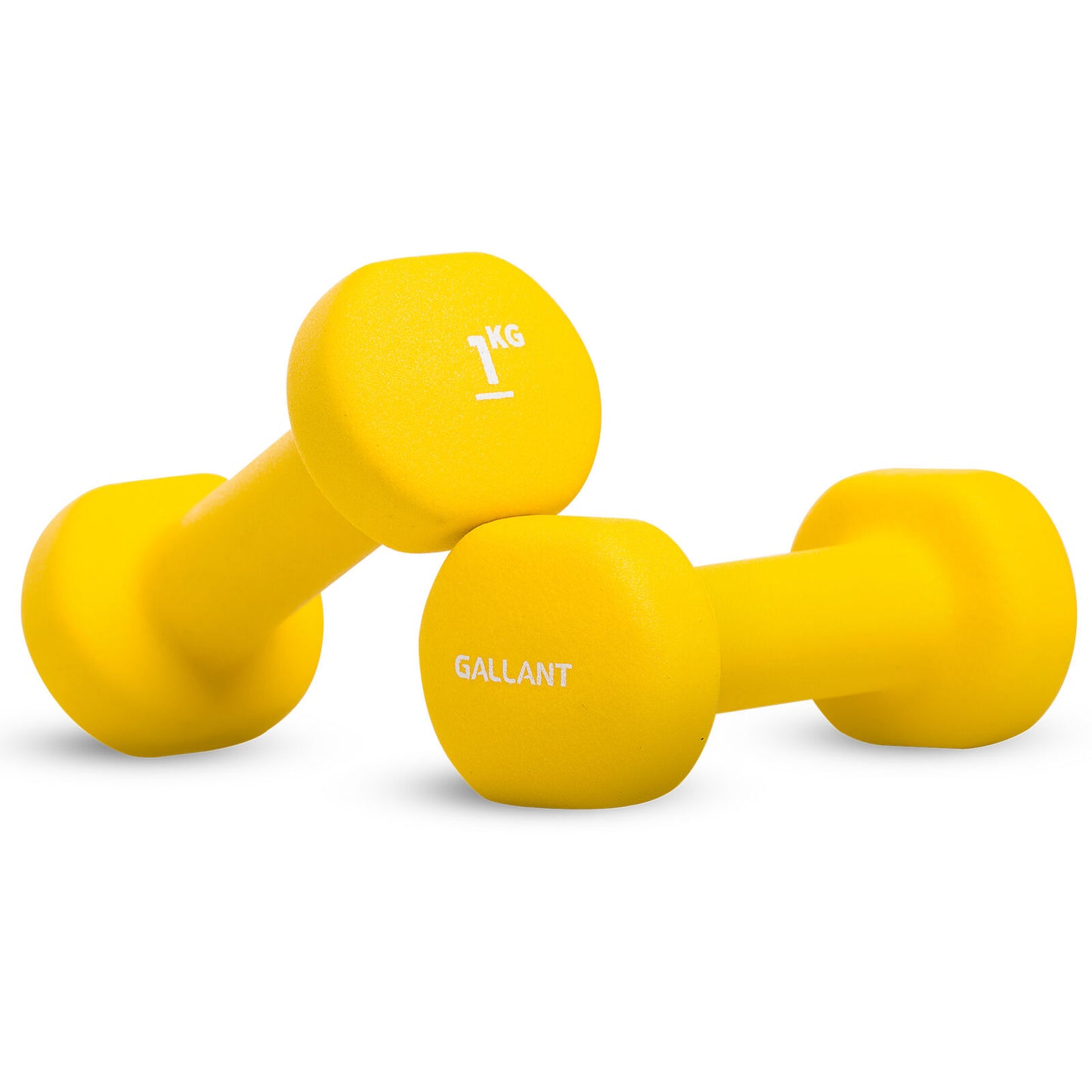 Neoprene Dumbbells Weights Pair Exercise Iron Hand Set Home Gym Fitness Aerobic