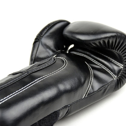 Fairtex Boxing Gloves / BGV14 / Black